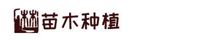 龙8国际最新pt客户端下载